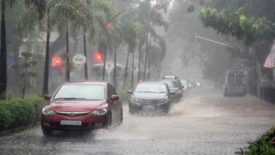 Monsoon covered the whole country 6 days ago IMD