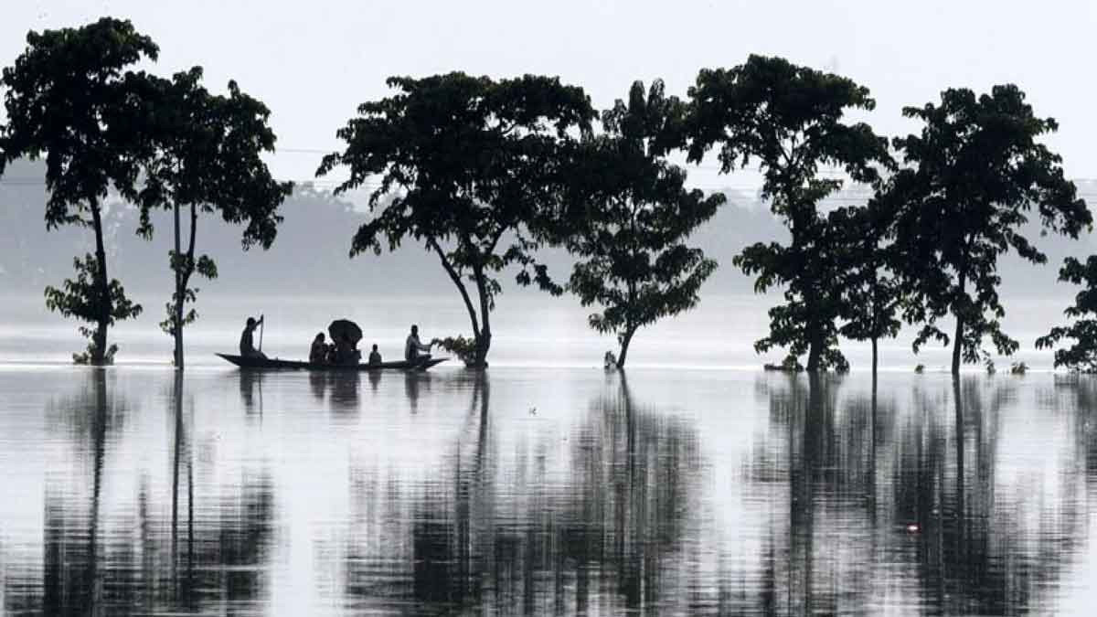 Monsoon covered the whole country 6 days ago IMD