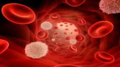 10 Healthy Ways To Blood Purify