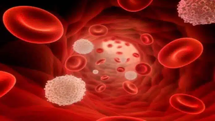10 Healthy Ways To Blood Purify