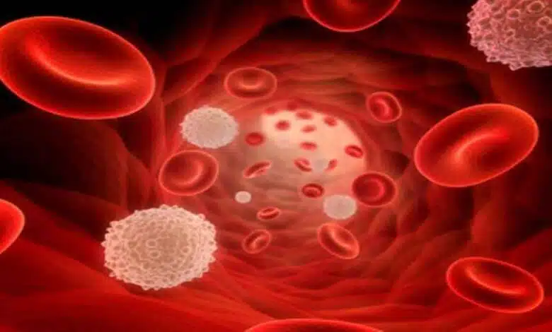 10 Healthy Ways To Blood Purify