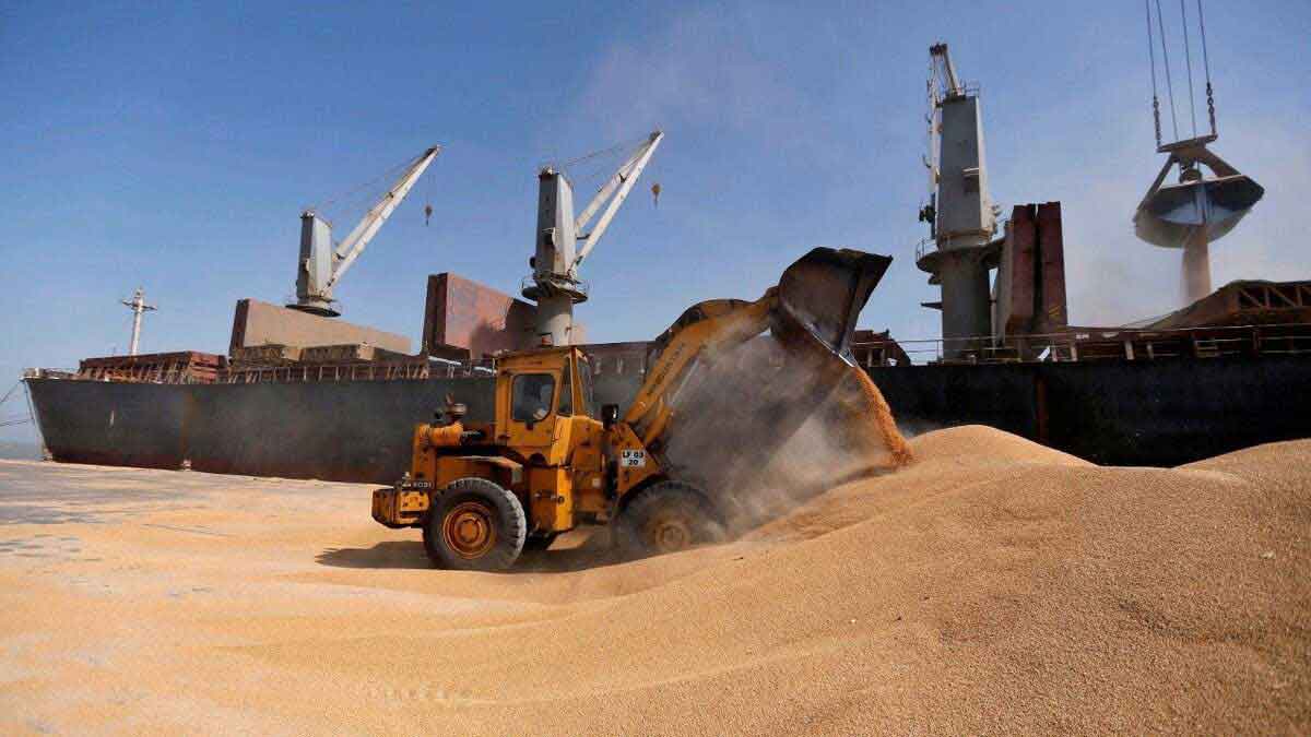 Wheat export ban has no adverse effect on farmers' income
