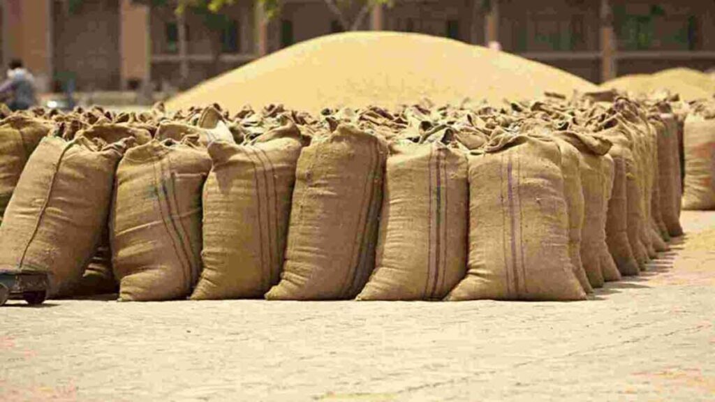 Wheat export ban has no adverse effect on farmers' income