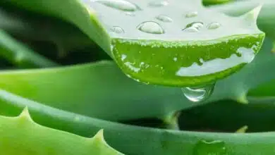 3 Simple Ayurvedic Remedies To Fight Hair Fall Effectively