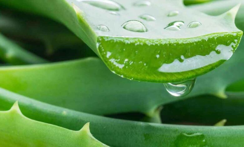 3 Simple Ayurvedic Remedies To Fight Hair Fall Effectively