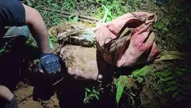 Ammunition, explosives seized in Meghalaya: Police