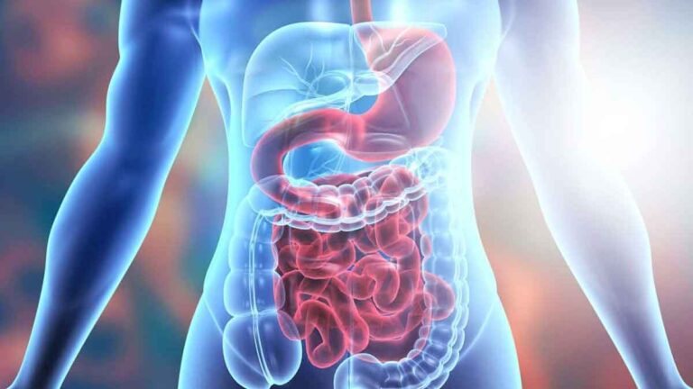 Digestion शक्ति बढ़ाने के 5 घरेलू उपाय