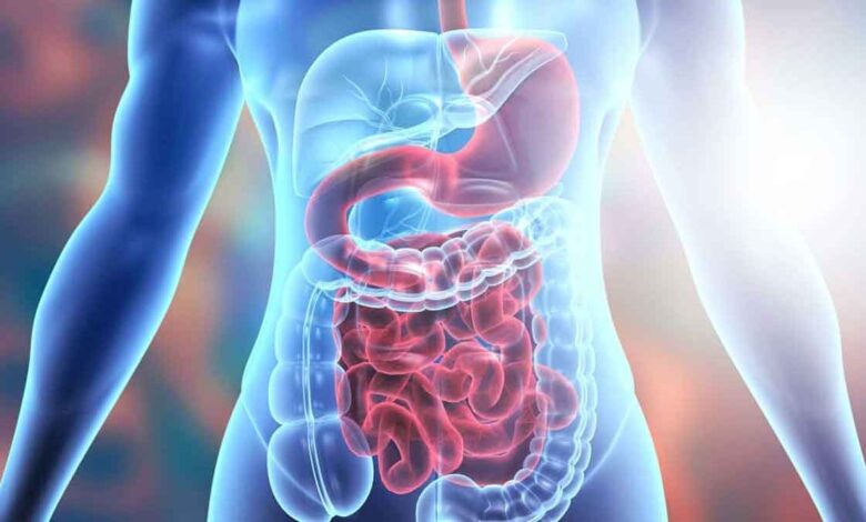 5 Home Remedies To Increase Digestion Power