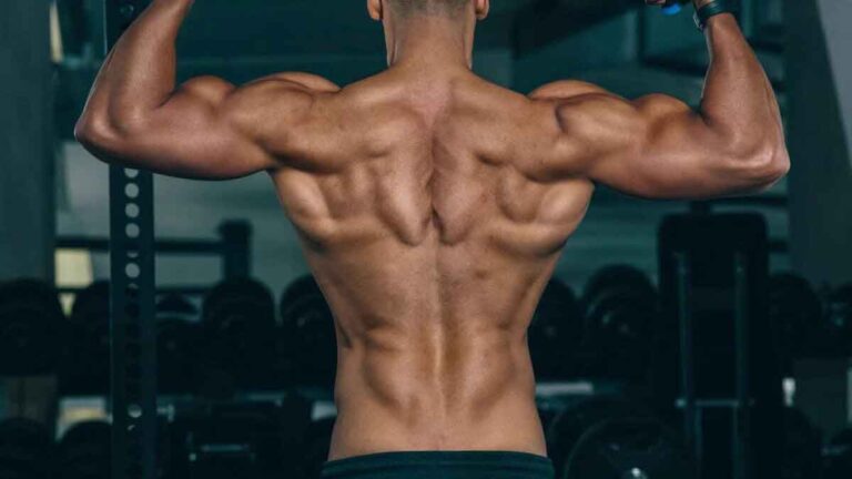 Muscles Matters: इसके द्रव्यमान और स्वास्थ्य के बारे में जानें 