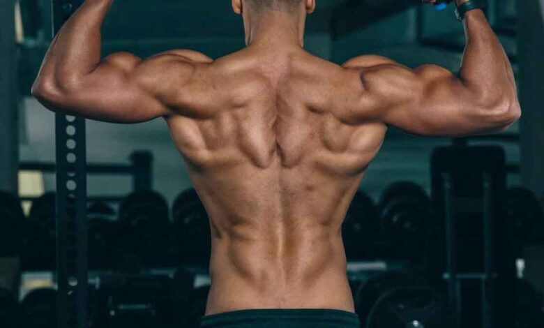 Muscles Matters: Know Its Mass and Health