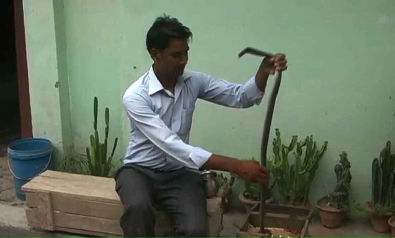 Hardoi Teacher Shailendra playing with cobra like a toy
