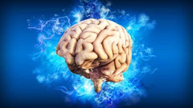 6 Rich Foods for Brain Health