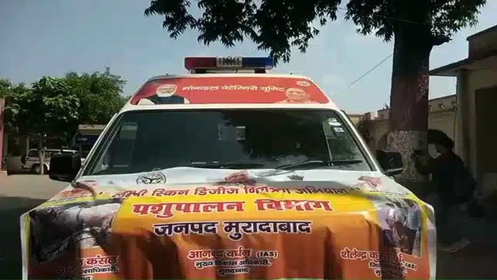 12 ambulances to control lumpy skin disease in Moradabad