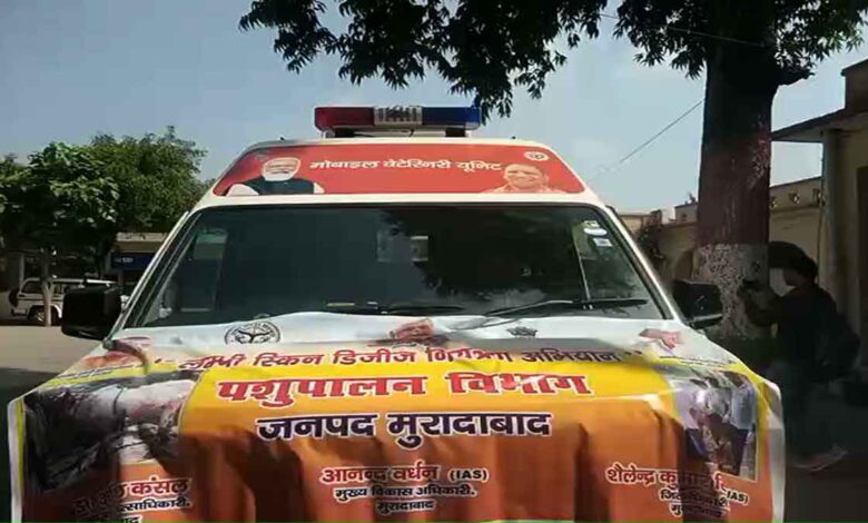 12 ambulances to control lumpy skin disease in Moradabad