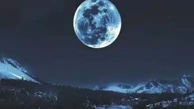 ashwin amavasya 2022 timing and puja