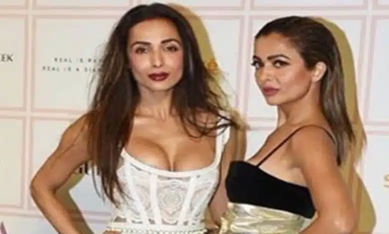 Malaika and Amrita to do a series called 'Arora Sisters'