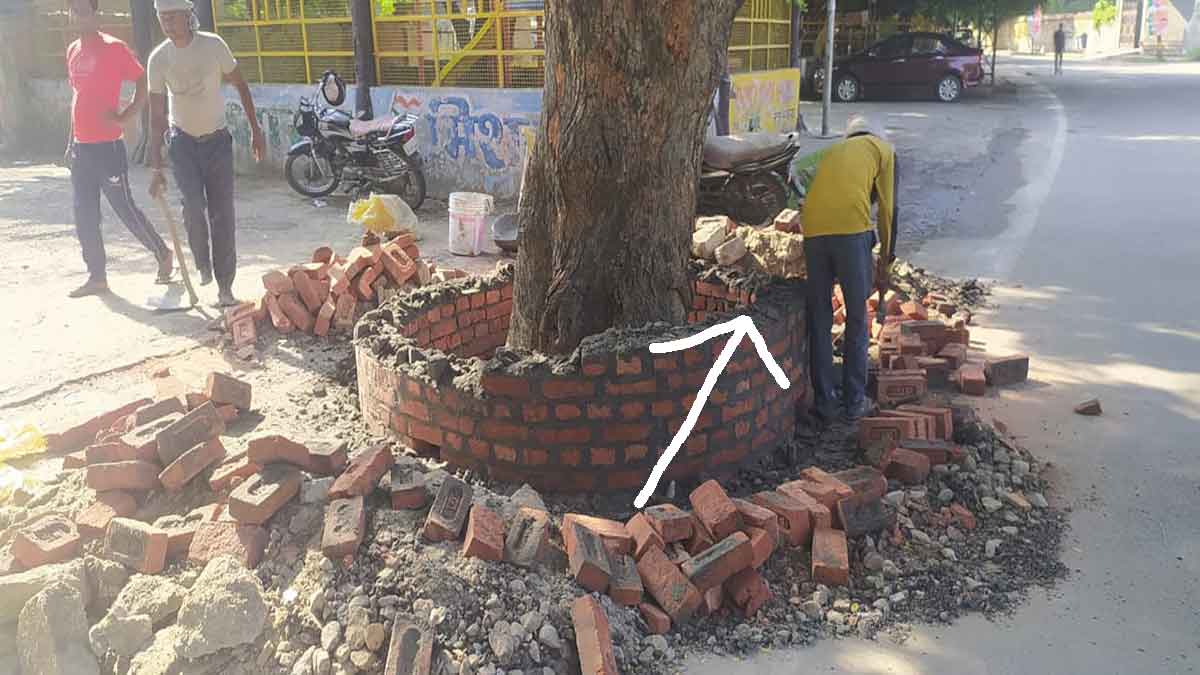 everyone bows down to Moradabad PWD engineer