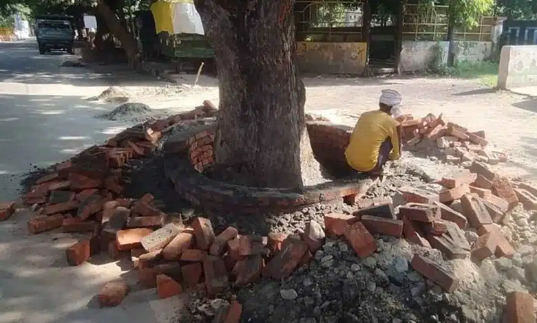 everyone bows down to Moradabad PWD engineer