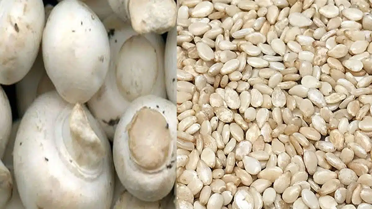 Food combinations that help you absorb nutrients better