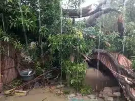 Rain wreaks havoc in UP Lakhimpur Kheri