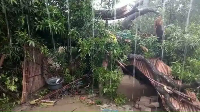 Rain wreaks havoc in UP Lakhimpur Kheri