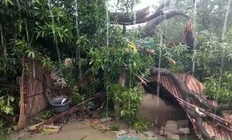 Rain wreaks havoc in UP Lakhimpur Kheri