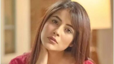 Shehnaaz showed attitude before bollywood debut