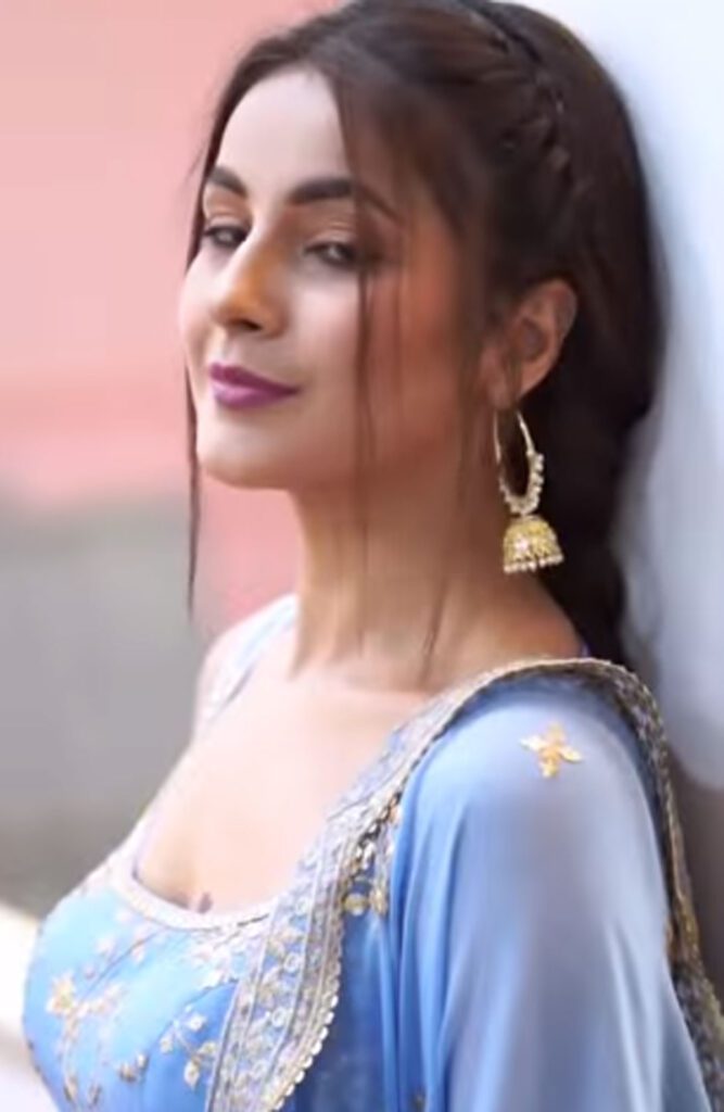Shehnaaz Gill: Punjabi avatar of Katrina Kaif of Punjab
