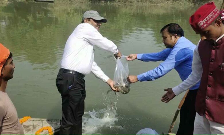 1.5 lakh fishes released in Deoria Gandak river