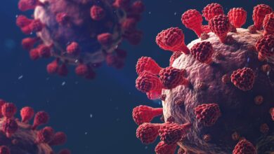 2,401 new cases of COVID-19 reported in 24 hours