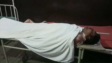 Bike collides with cow in Sambhal 1 killed