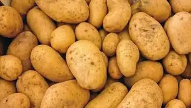 Potato is good for heart health; know the reason