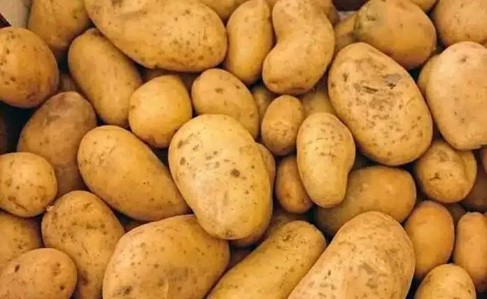 Potato is good for heart health; know the reason