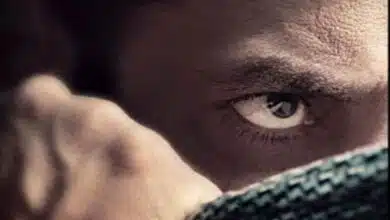 Tiger 3: Salman Khan announces new release date, shares new poster