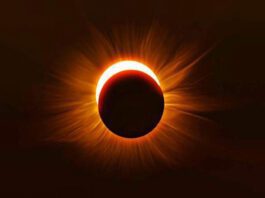 Do's and Don'ts in Partial Solar Eclipse