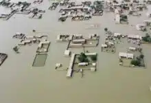 WHO warns of 2.7 million malaria cases in Pakistan