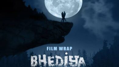 Varun's film Bhediya earned Rs 28.05 crore on 3rd day