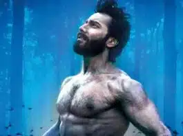 Varun Dhawan starrer Bhediya is stable on Tuesday
