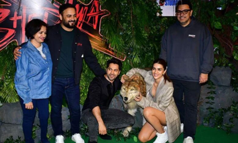 Varun's horror drama Bhediya earns Rs 6.75 cr