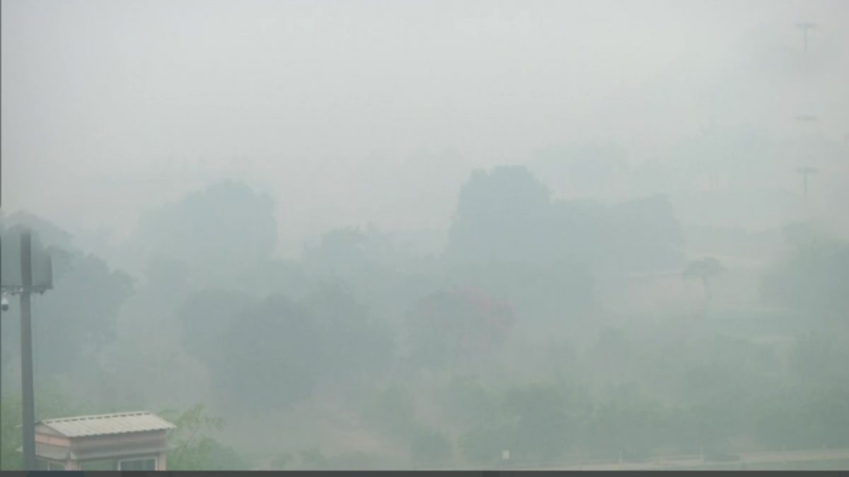 Capital Delhi battling Air Pollution