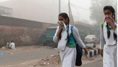 Demand for closure of schools in Delhi increased due to air pollution