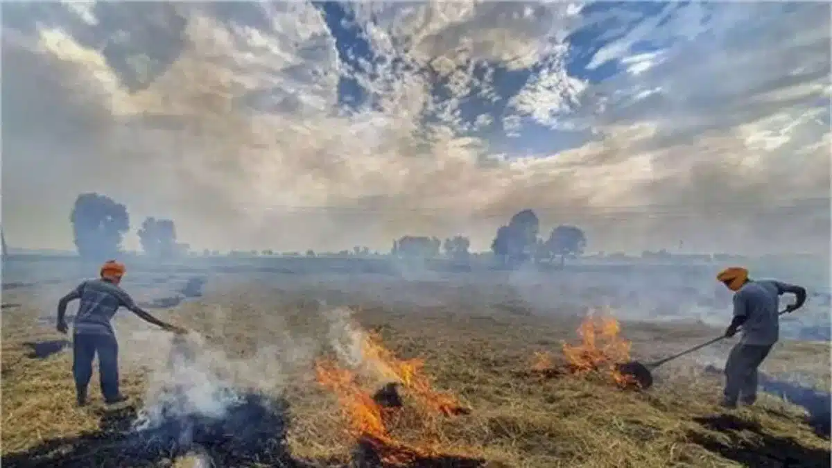 Farmers sold stubble due to air pollution