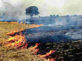 Farmers sold stubble due to air pollution