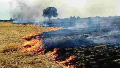 Farmers sold stubble due to air pollution