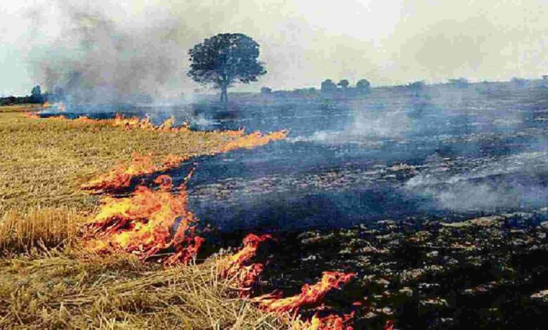 Farmers sold stubble due to air pollution