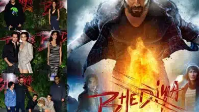 Bollywood stars reached to watch Bhediya film