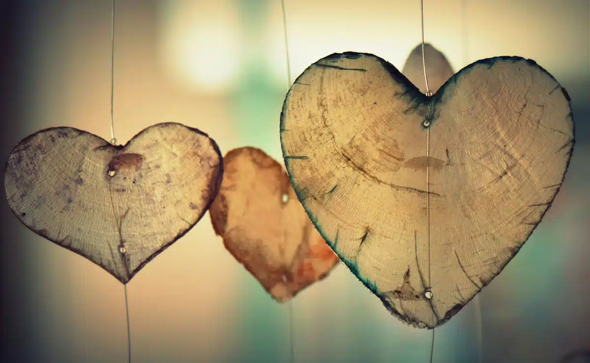 Love: The Kinds Of Valuable Feelings That Are Actually Worth It