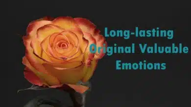 Love: The Kinds Of Valuable Feelings That Are Actually Worth It