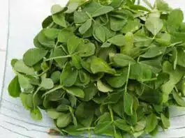Quick and easy recipe for weekday lunch with Methi