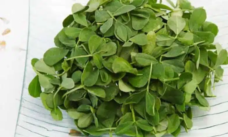 Quick and easy recipe for weekday lunch with Methi